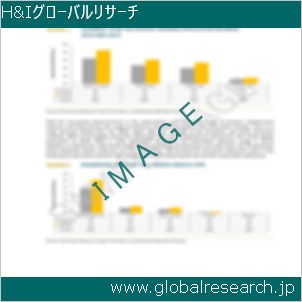 グローバルリサーチ調査レポートのイメージ